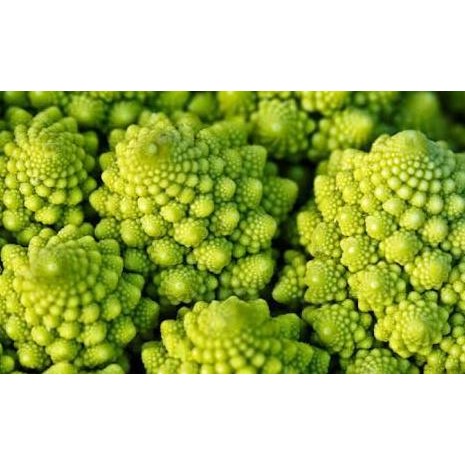 

Benih / Bibit / Biji - Cauliflower Romanesco Natalino Seeds - IMPORT murah