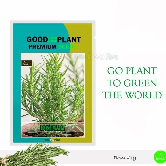 

Terlaris Benih Bibit Rosemary 5 Biji Tanaman Herbal Wangi