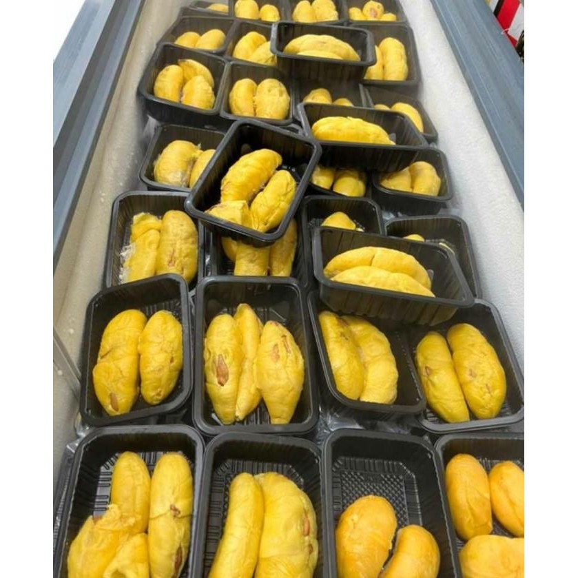 

Durian Musang King Sultan Malaysia Frozen 400 Gram Fresh Import