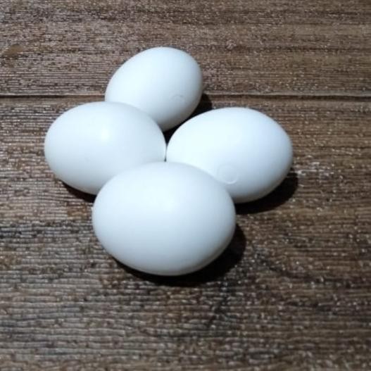 

Terlaris 2 Gr Art. 11 Dummy Egg Large Telur Palsu Burung Italy Telor Plastik