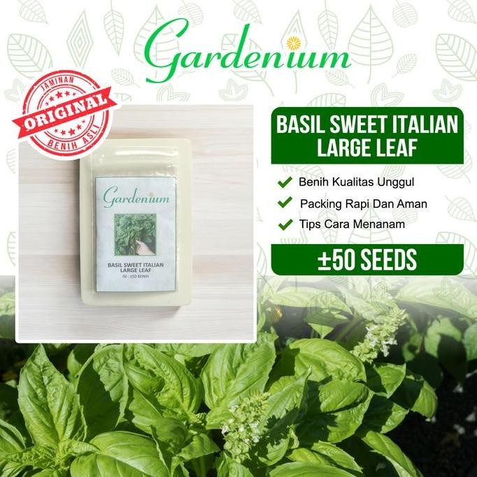 

Terlaris Gardenium Benih Basil Sweet Italian Large Leaf Tanaman Sayuran Herbal