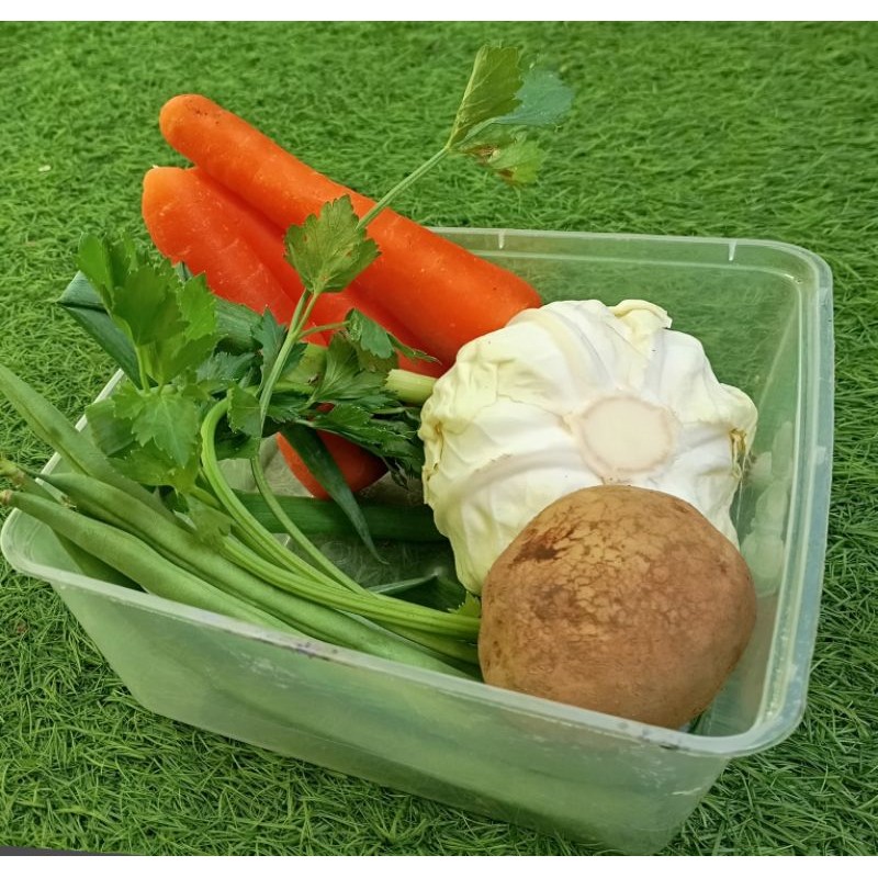 

sayuran segar dan pres paketsayur sop