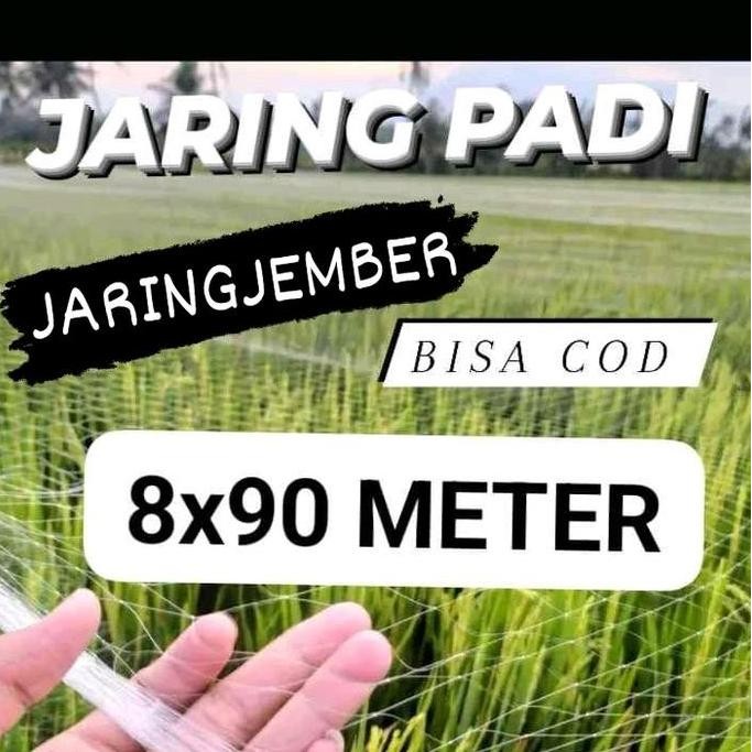 

Terlaris Cod Jaring Sawah / Jaring Pengaman Padi / Jaring Hama Burung / Jaring Burung Pipit Ketebalan 0,12 Mm Tanaman