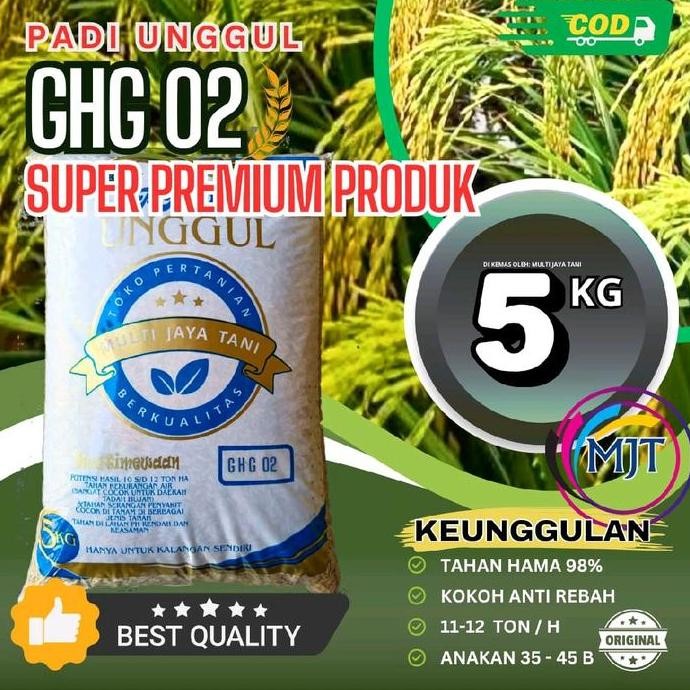 

Terlaris Benih Padi Ghg 02 (Galur Herkules Genjah 02) 5Kg - Potensi Hasil 11 Ton/Ha