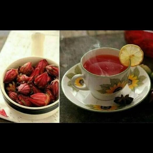 

Terlaris Bibit Tanaman Bunga Rosela/Tanaman Herbal Rosela/Bunga Teh Rosela