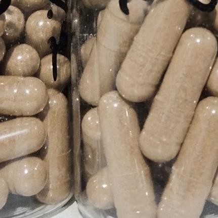 

Terlaris Kapsul Bawang Putih Tunggal 100Kapsul Organik Tanaman Herbal Nusantara