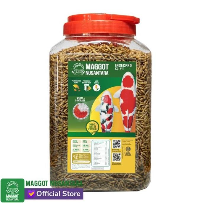 STOK TERBATAS MAGGOT NUSANTARA KOI 500 GR