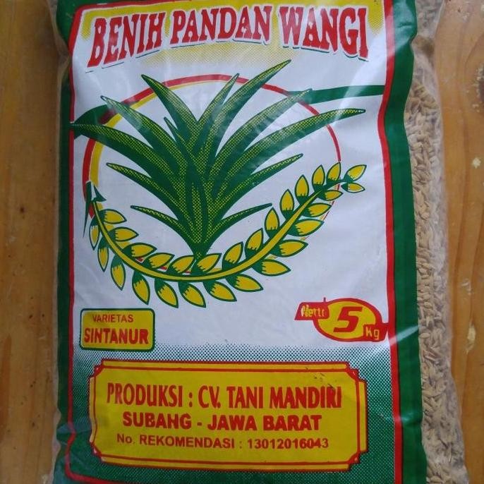 

Terlaris Benih Padi Pandan Wangi Varietas Sintanur Bersertifikat Label Ungu