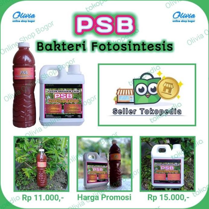 

Terlaris Psb Bakteri Fotosintesis/Pupuk Organik Cair/1 Liter & 600 Ml