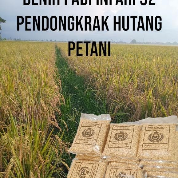 

Terlaris Benih Bibit Padi Infari 32 Kualitas Sudah Terjamin 1Kg