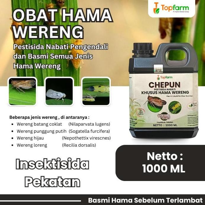 

Terlaris Obat Wereng Padi - Obat Wereng Paling Ampuh / Obat Hama Wereng / Obat Wereng Pada Tanaman Padi / Pembasmi Hama Obat Wereng / Racun Wereng Terbaik / Pestisida Wereng Padi