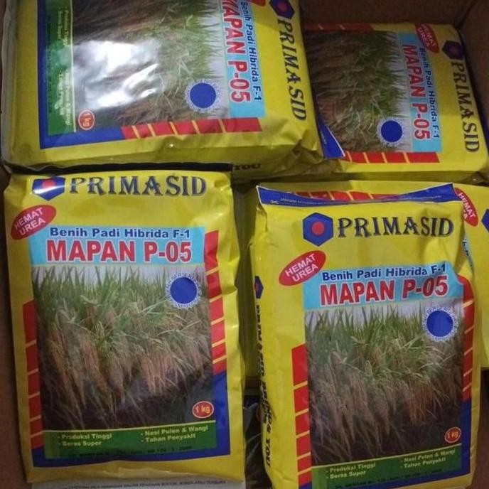 

Terlaris Benih Padi Hibrida Mapan P 05 1 Kg Kemasan Asli Pabrik