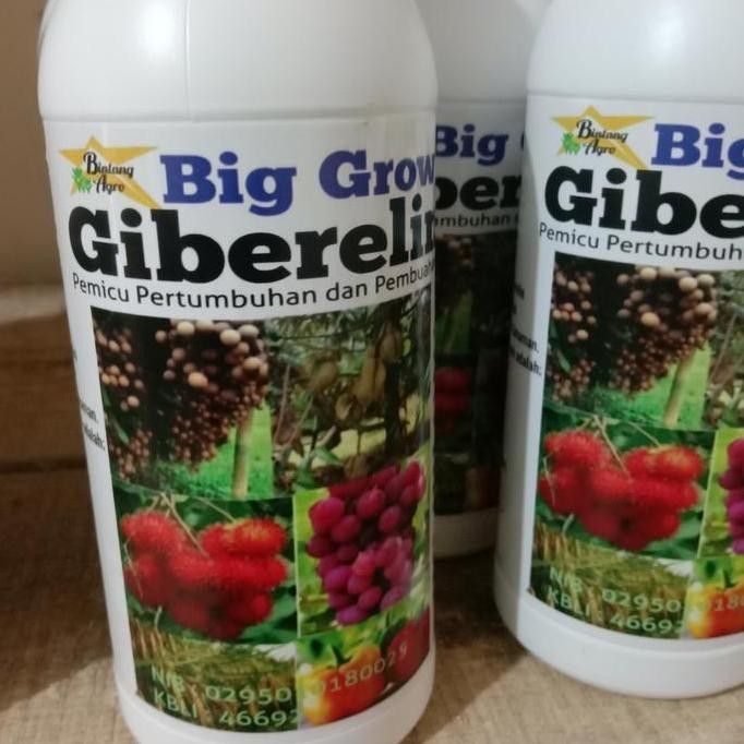 

Terlaris Pupuk Organik Big Grow Buster Perbanyak Akar Daun Bunga Buah Batang