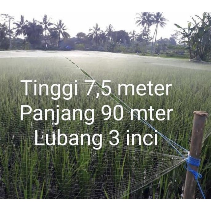 

Terlaris Jaring Burung, Jaring Padi Sawah Lubang 3 Inci Bonus Tali Nilon- Putih