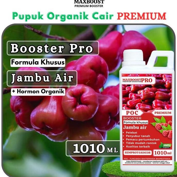 

Terlaris Maxboost - Pupuk Organik Cair Tanaman Jambu Air, 1010 Ml Poc Kompos Booster Cair Jambu Air Melebatkan Secara Maksimal 100Ml Kalium