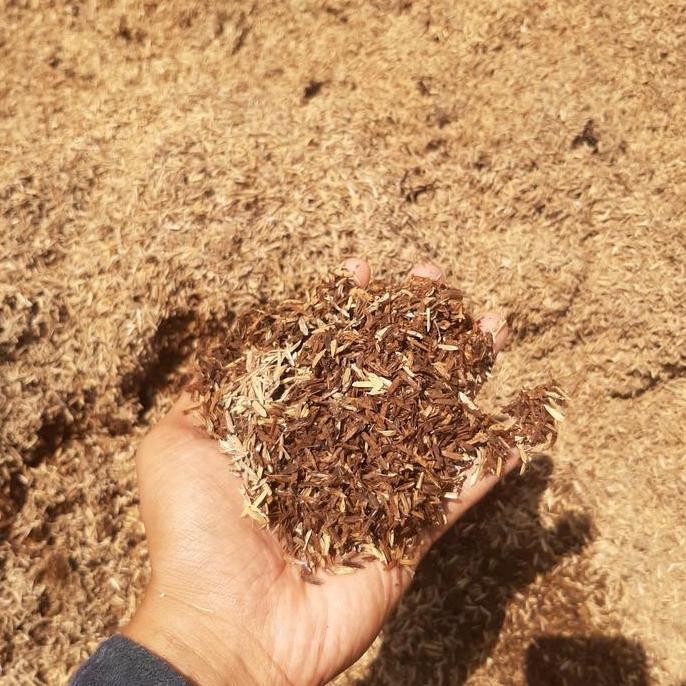 

Terlaris Media Tanam Sekam Kulit Padi Fermentasi