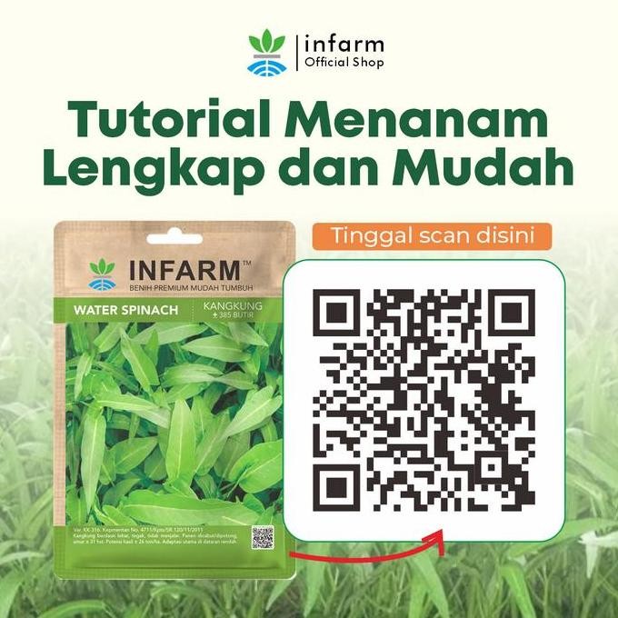 Baru Benih Sayur Kangkung Infarm Tanaman Sayur Daun