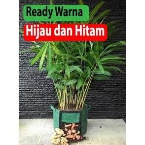 

Terlaris Polybag Pot Bibit Tanaman Rimpang : Jahe , Kunyit Rhizoma Planter Bag