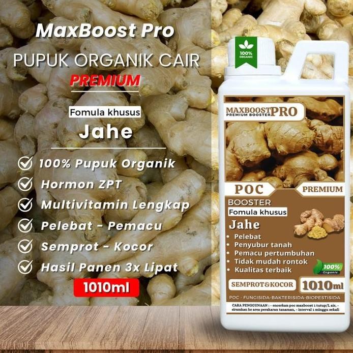 

Terlaris Pupuk Organik Cair Jahe, Jahe Merah, Booster Jahe, Maxboost Melebatkan Dan Memaksimalkan Hasil Panen2 Lipat Kemasan 1010Ml Terlaris