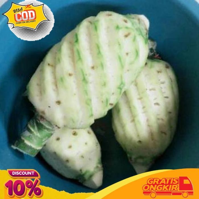 

Diskon Nanas Muda || Pelancar Haid || Herbal