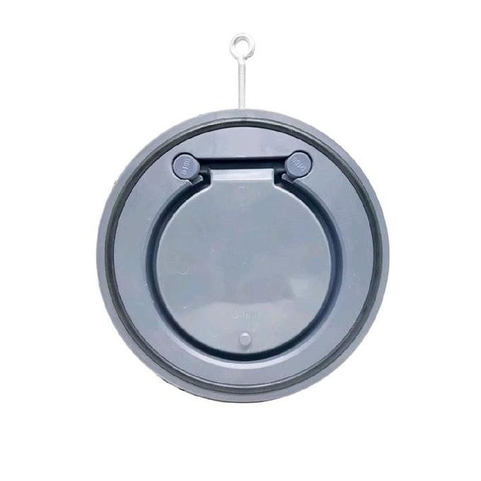 Wafer Check Valve PVC 6 inch Wafer Check Valve PVC DN150 Check Valve PVC JIS ANSI DIN Universal Stan