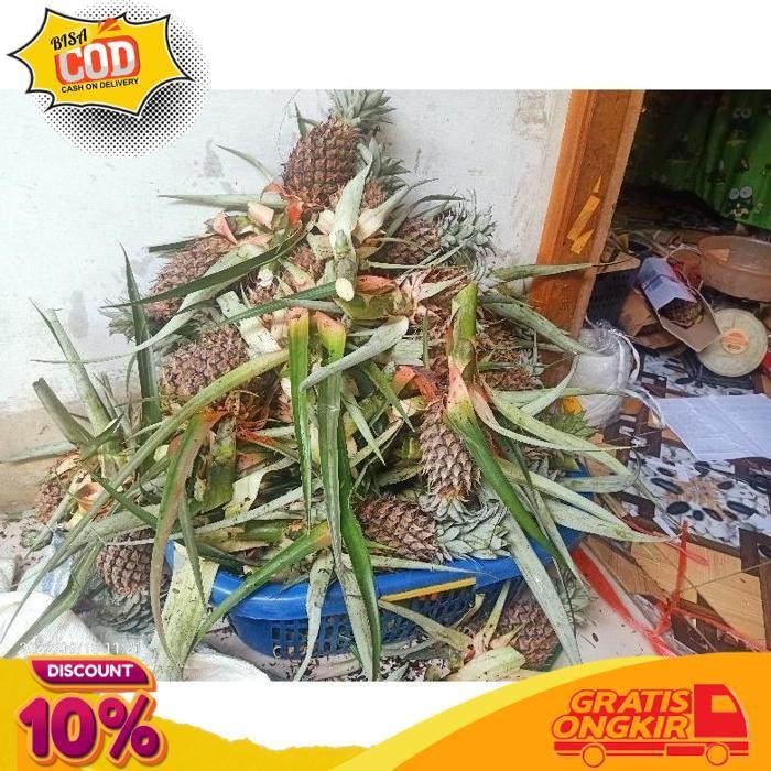 

Promo Nanas Muda || Pelancar Haid || Free Bumbu || Herbal Alami