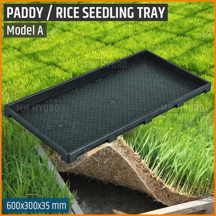 

Terlaris Paddy / Rice Seedling Tray, Tray Semai Bibit Padi / Microgreen - A
