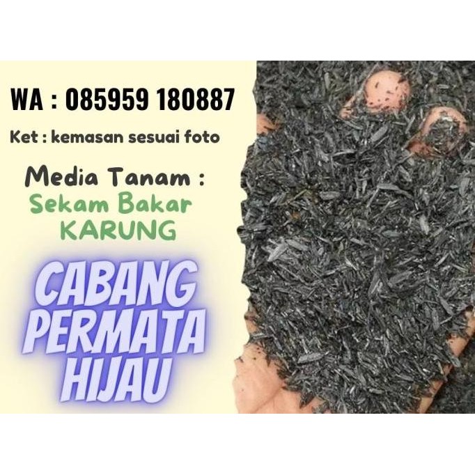 

Terlaris Media Tanam Sekam Bakar Karungan Arang Padi Pupuk Kompos Karung