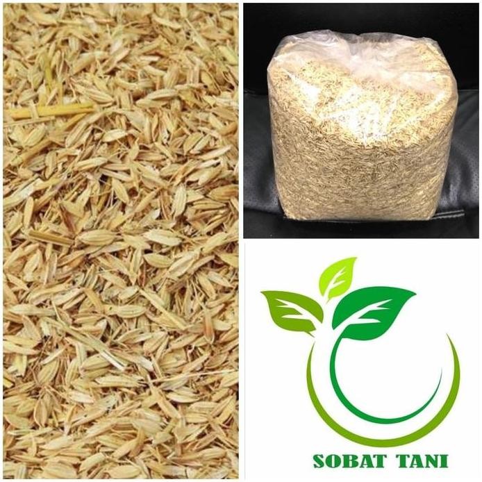 

Terlaris Sekam Padi Mentah - Sekam Media Tanam