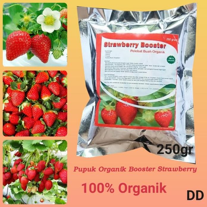 

Terlaris Pupuk Strawberry Organik Booster Buah Stroberi Agar Cepat Berbuah Leba