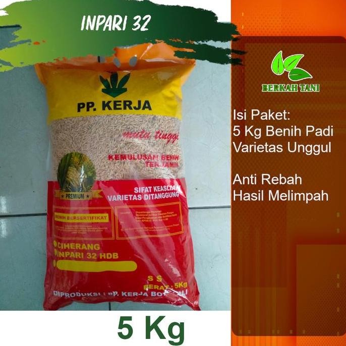 

Terlaris Benih Padi Inpari 32 Premium Pak Tani 5 Kg