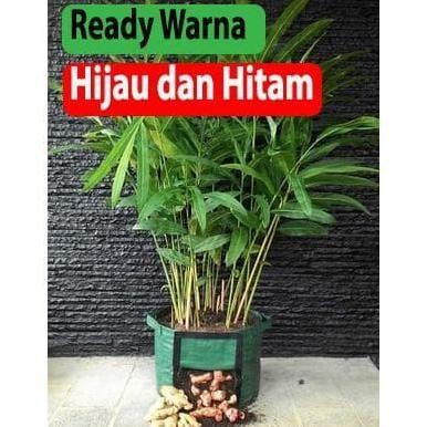 

Terlaris ` Polybag 45 Lt Pot Bibit Tanaman Rimpang Jahe Kunyit Kencur Lengkuas