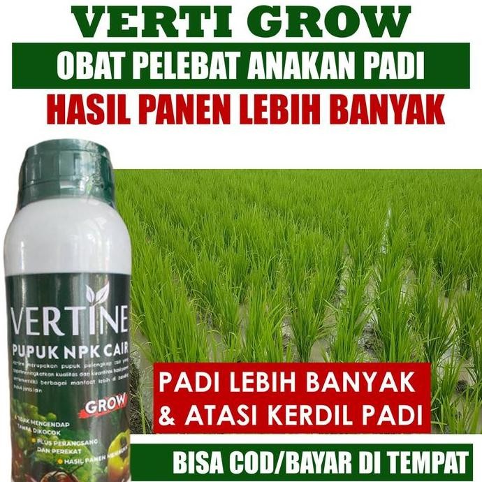 

Terlaris (Terlaris) Vertine Grow - Obat Penambah Banyak Padi Terbaik, Pupuk Pelebat Padi Paling Bagus, Obat Padi Paling Manjur Anakan Padi Tanpa Rontok, Pupuk Npk Cair Pelebat Padi Ampuh Musim Hujan - Cairan Penambah Banyak Padi Terbaik 100% Original