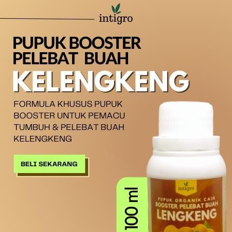 

Terlaris Pupuk Kelengkeng Booster Cair Organik / Pupuk Pelebat Buah Kelengkeng