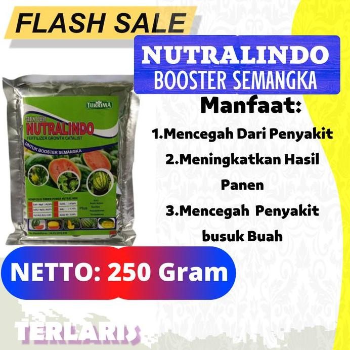 

Terlaris Pupuk Organik Semangka Non Biji, Booster Semangka Kuning Cepat Berbuah, Nutralindo Pupuk Semangka Mini