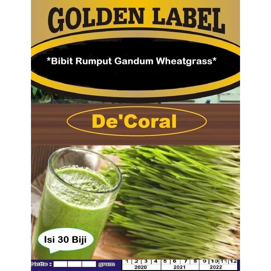 

Terlaris Bibit Rumput Gandum Wheatgrass | Benih Rumput Gandum Wheatgrass