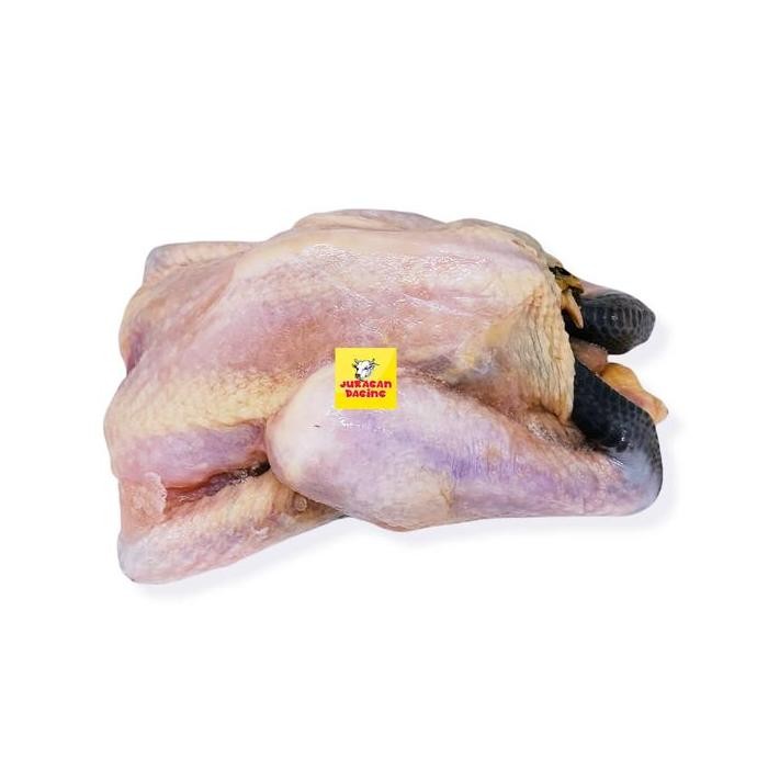 

Ayam kampung ukuran 500 - 600 gram