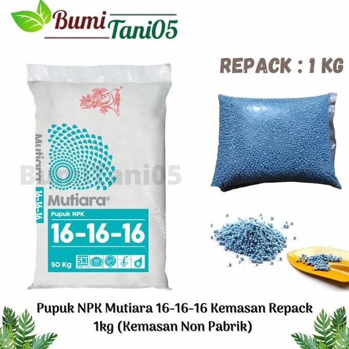 

Terlaris Pupuk Npk Mutiara 16-16-16 Kemasan Repack 1 Kg