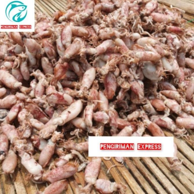 

Cumi beby asin fresh - 1kg KHR