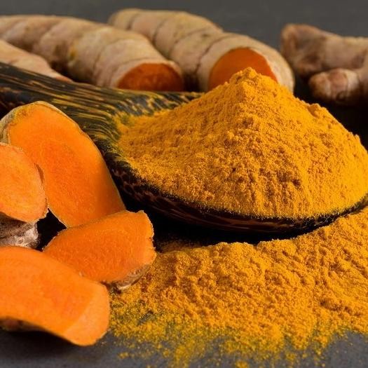 

Terlaris Bibit Tanaman 3 Bibit Kunyit / Kunir / Tanaman Herbal Dan Bumbu Masak