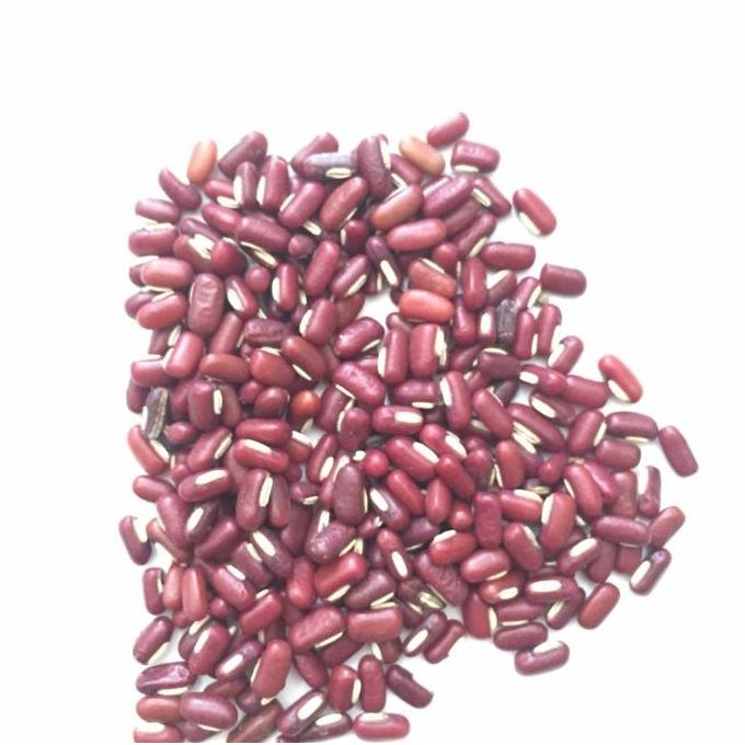 

KACANG MERAH KECIL IMPORT