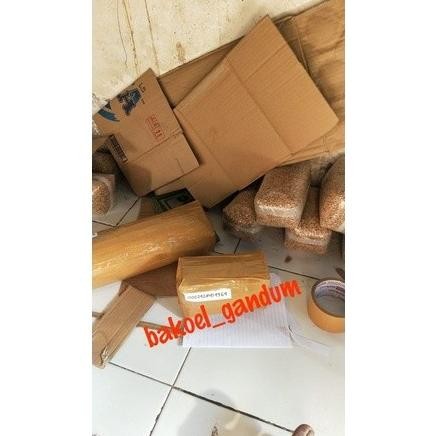 

Terlaris Biji / Benih / Bulir / Bibit Gandum Utuh.. 1 Kg