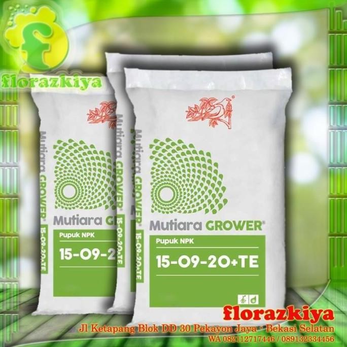 

Terlaris Pupuk Npk + Te Mutiara Grower Fase Generatif Kemasan Repack 500 Gram