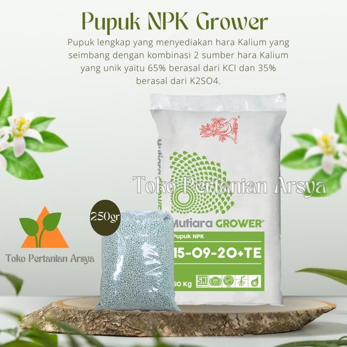 

Terlaris Meroke Pupuk Npk Mutiara Grower 15-09-20 Kemasan Repacking 250 Gram