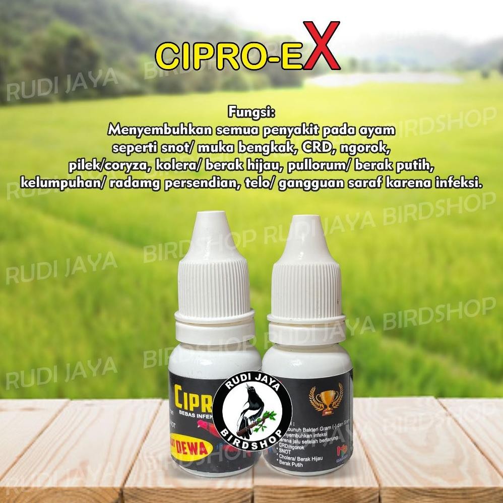 Cod Jy-6 Cipro-Ex Cipro Ex Ciproex Obat Ayam Aduan Obat Mujarab Ampuh Mengobati Segala Penyakit Ayam