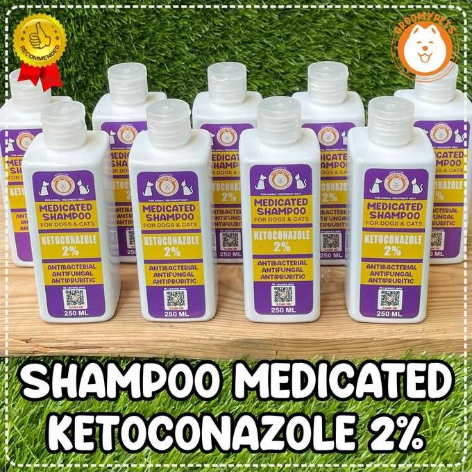 shampoo medicated anjing dan kucing - ketoconazole 2%