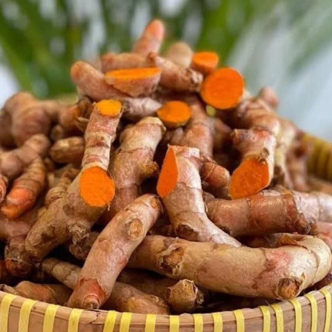 

Terlaris 500Grm Kunyit Segar / Kunyit Kuning / Kunir Segar / Bibit Kunyit