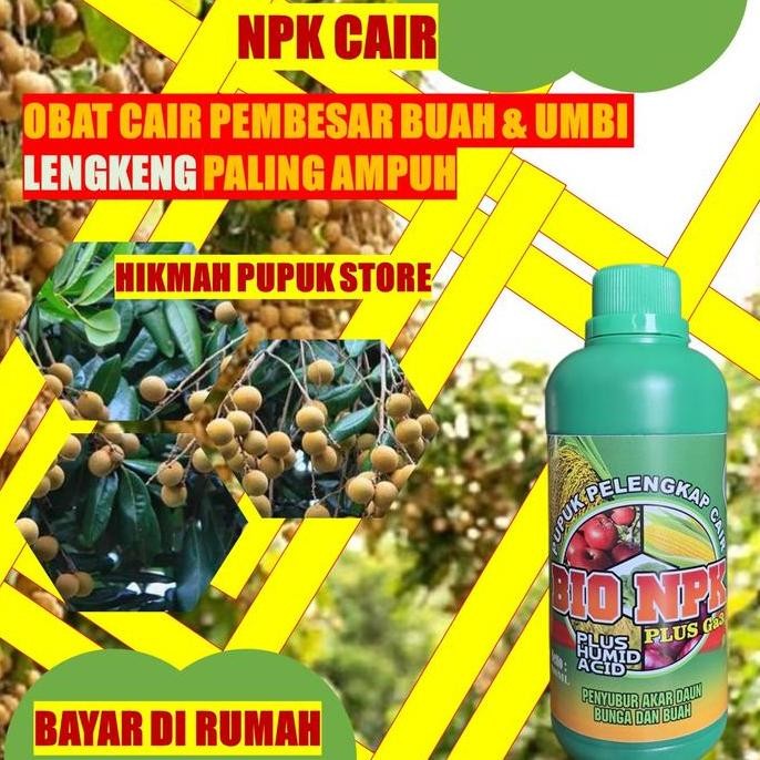 

Terlaris Pupuk Pelebat Penyubur Lengkeng Npk Cair Gaza 500Ml Booster Umbi Dan Buah - Melebatkan Tanaman Lengkeng Dan Memaksimalkan Hasil Panen Dan Besar