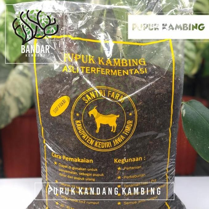 

Terlaris Pupuk Kandang Kambing Fermentasi 2,7Kg Sudah Steril Metan Organik