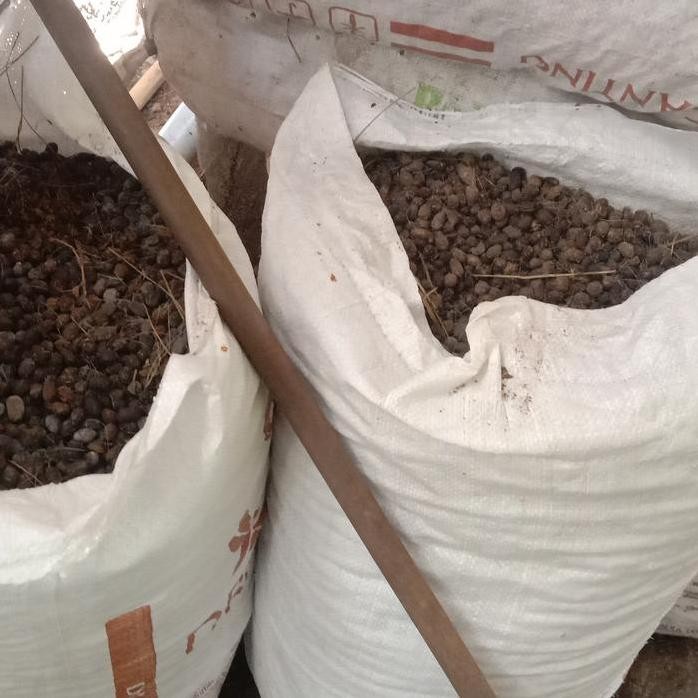 Terlaris Pupuk Kandang (Srintil Wedhus) Kotoran Kambing Kering